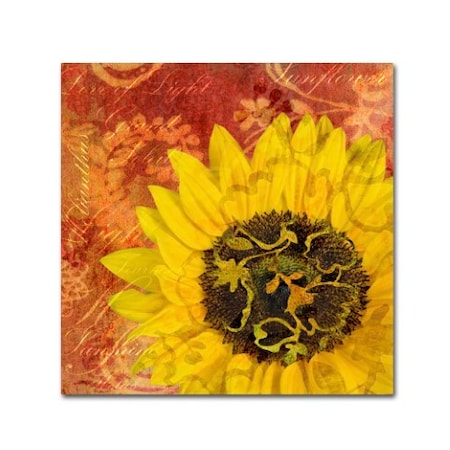 Cora Niele 'Sunflower - Love Of Light' Canvas Art,14x14